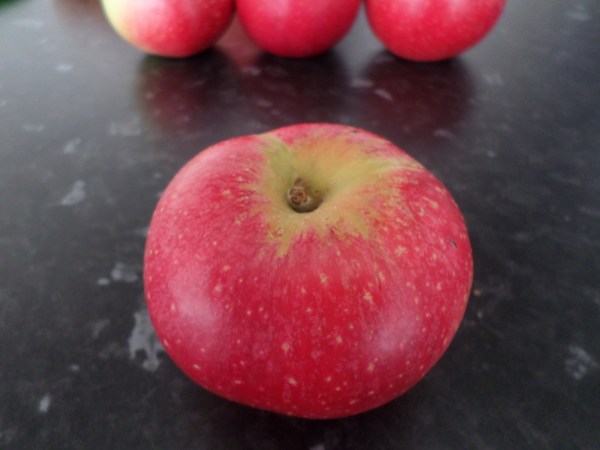 See… we're not all short skirts and white stilettos in Essex…